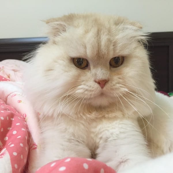 IMG_4795.jpg IMG_4795.jpg