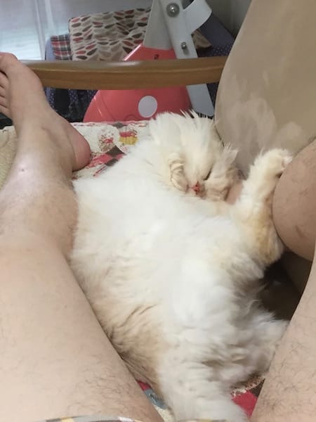 IMG_2536.jpg IMG_2536.jpg