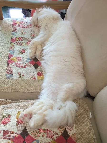 IMG_5819.jpg IMG_5819.jpg