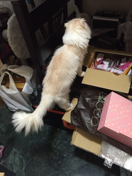 IMG_5830.jpg IMG_5830.jpg