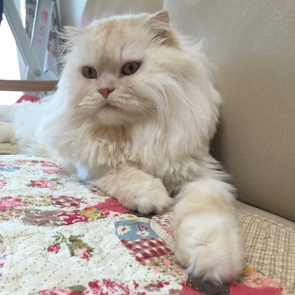 IMG_5826.jpg IMG_5826.jpg