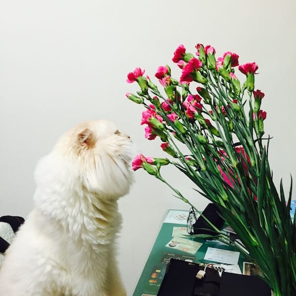 JRQI9860.jpg JRQI9860.jpg