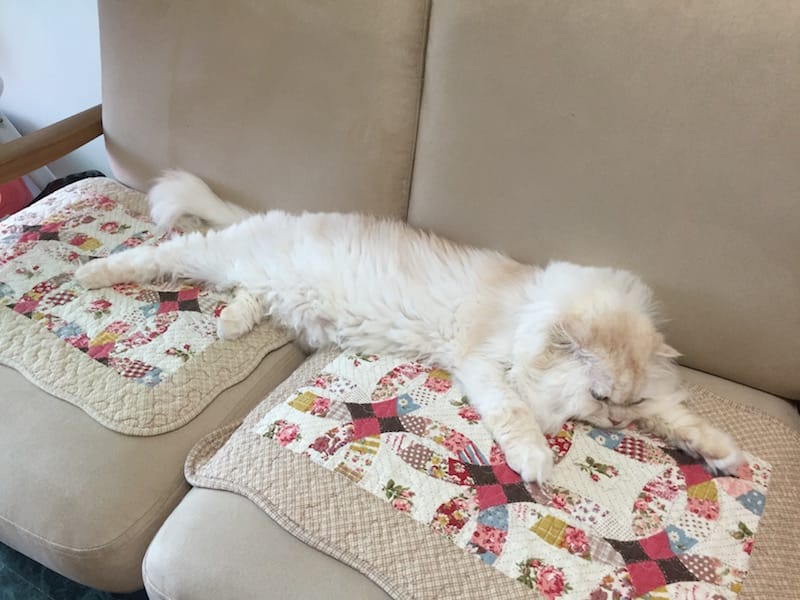 IMG_5821.jpg IMG_5821.jpg