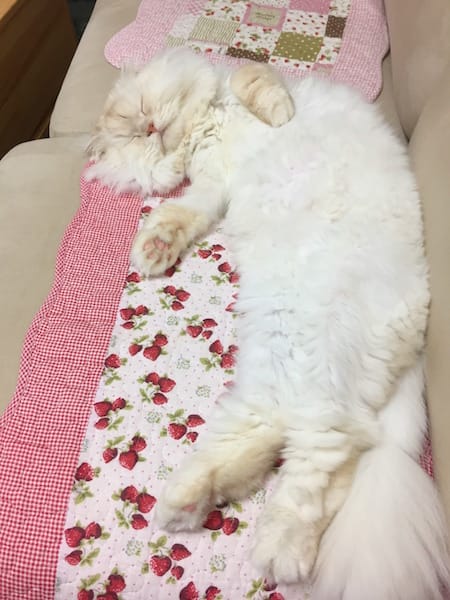 IMG_1933.jpg IMG_1933.jpg