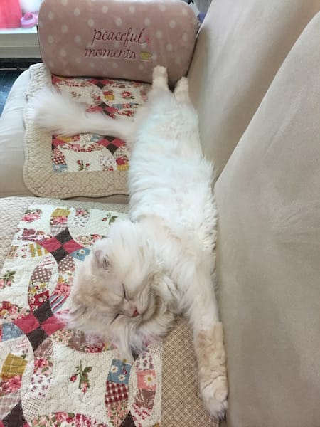 IMG_2594.jpg IMG_2594.jpg