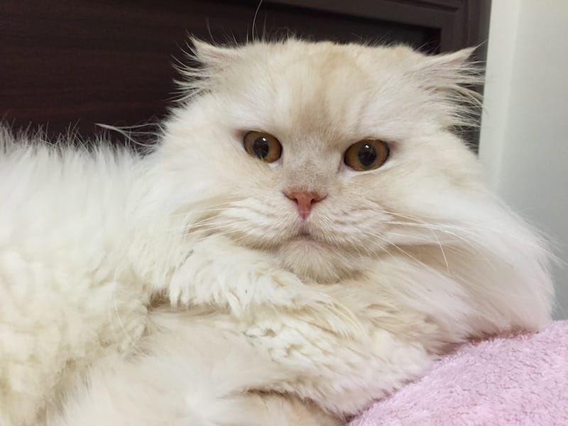 IMG_5798.jpg IMG_5798.jpg