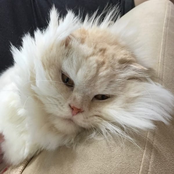 IMG_2227.jpg IMG_2227.jpg