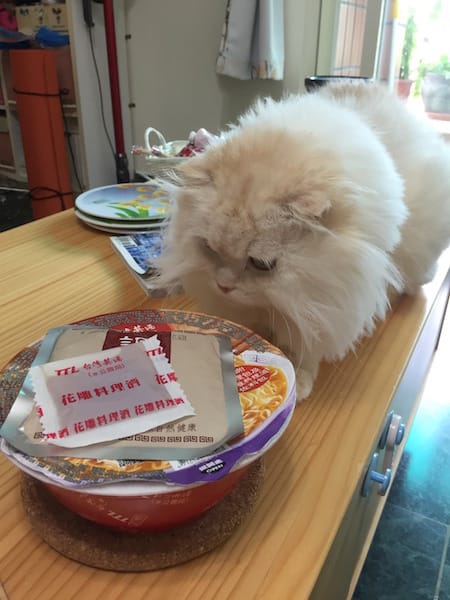 IMG_2411.jpg IMG_2411.jpg