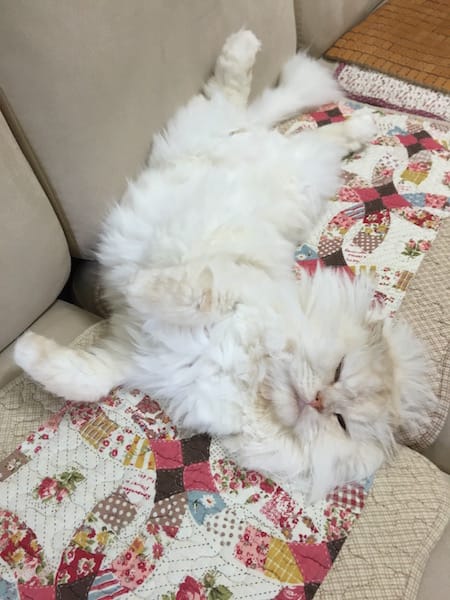 IMG_2375.jpg IMG_2375.jpg