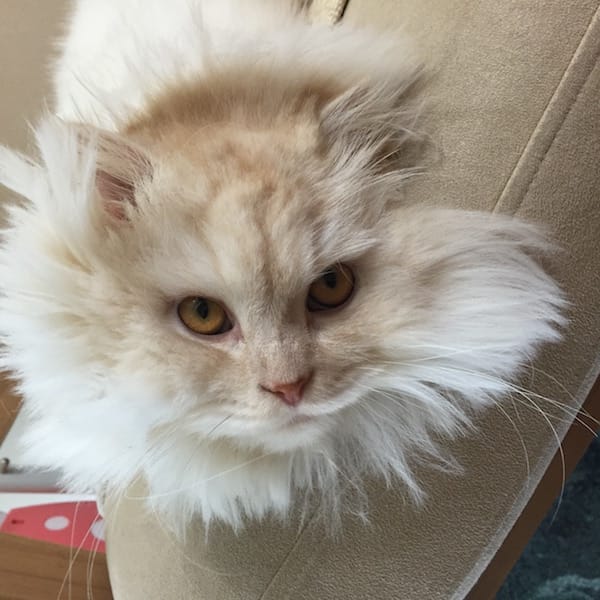 IMG_2235.jpg IMG_2235.jpg