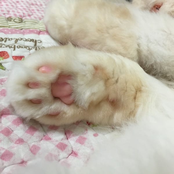 IMG_5176.jpg IMG_5176.jpg