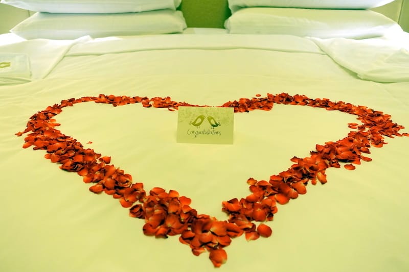 DSC07534.JPG DSC07534.JPG