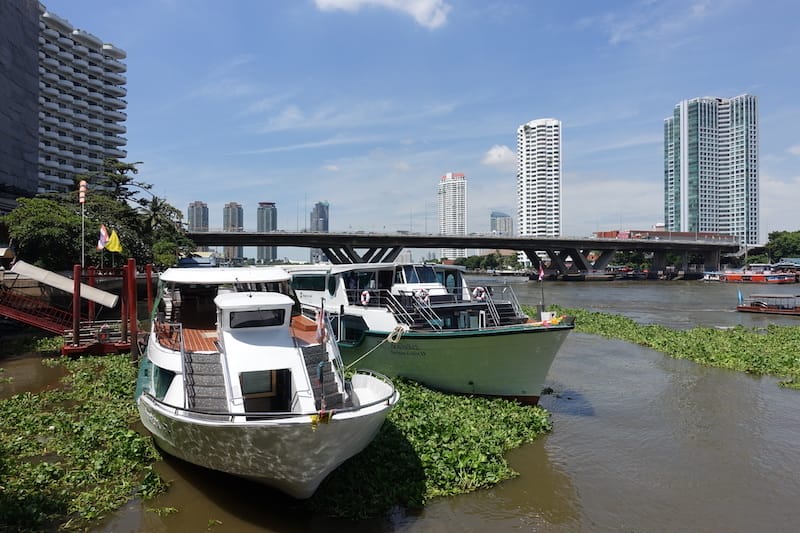 DSC07972.JPG DSC07972.JPG