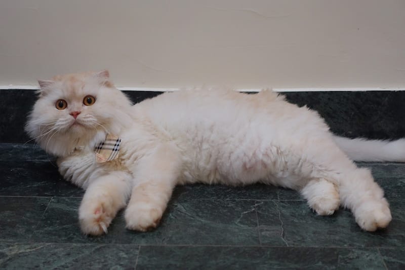 DSC08319.JPG DSC08319.JPG