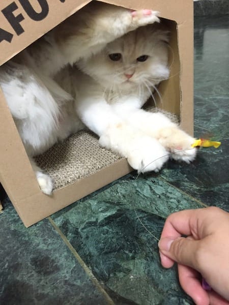 IMG_6352.jpg IMG_6352.jpg