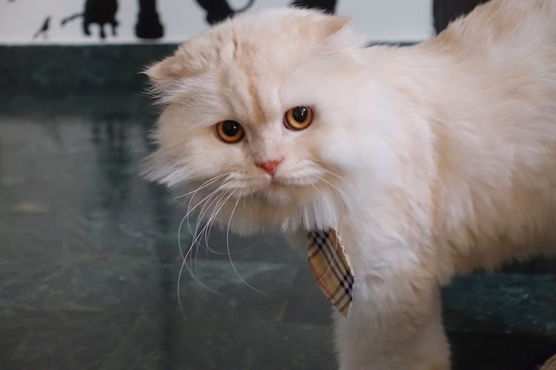 DSC08297.JPG DSC08297.JPG