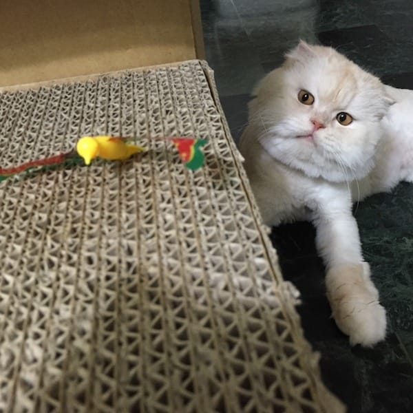 IMG_6359.jpg IMG_6359.jpg