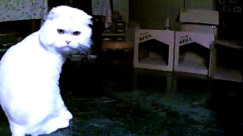 IMG_3439.jpg IMG_3439.jpg