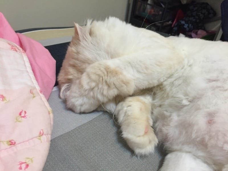 IMG_6401.jpg IMG_6401.jpg