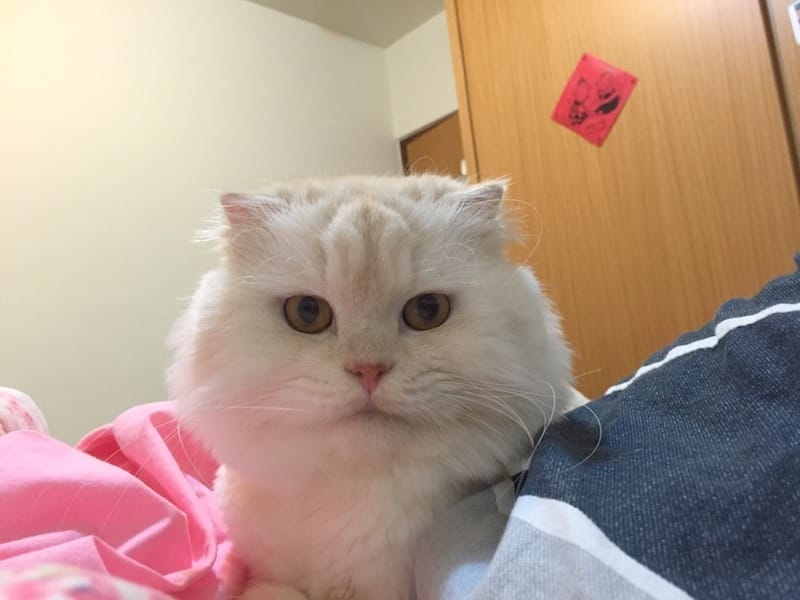 IMG_6431.jpg IMG_6431.jpg