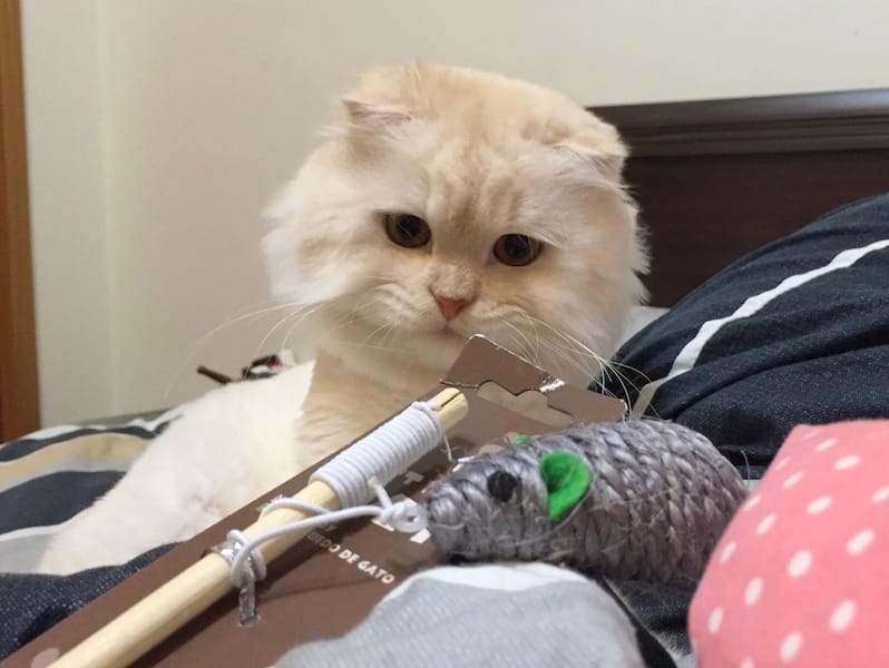 IMG_6434.jpg IMG_6434.jpg