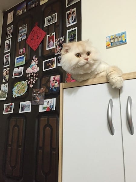 IMG_6398.jpg IMG_6398.jpg