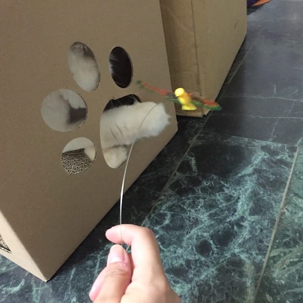 IMG_6341.jpg IMG_6341.jpg