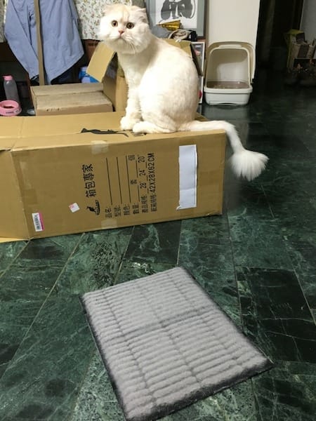 IMG_3669.jpg IMG_3669.jpg