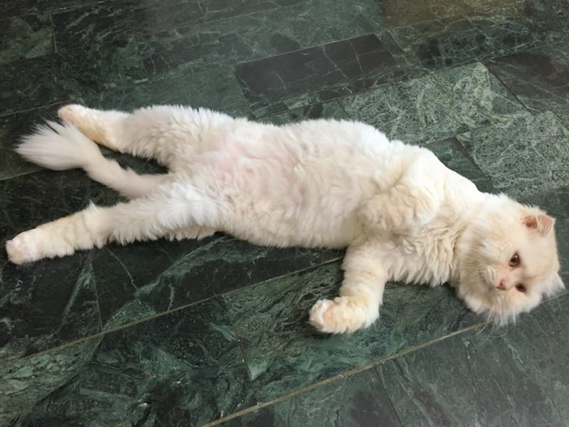 IMG_3787.jpg IMG_3787.jpg