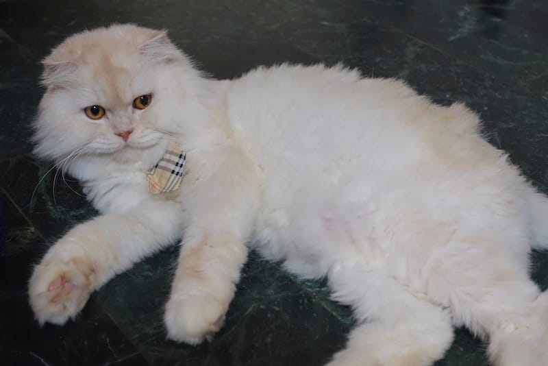 DSC08287.JPG DSC08287.JPG