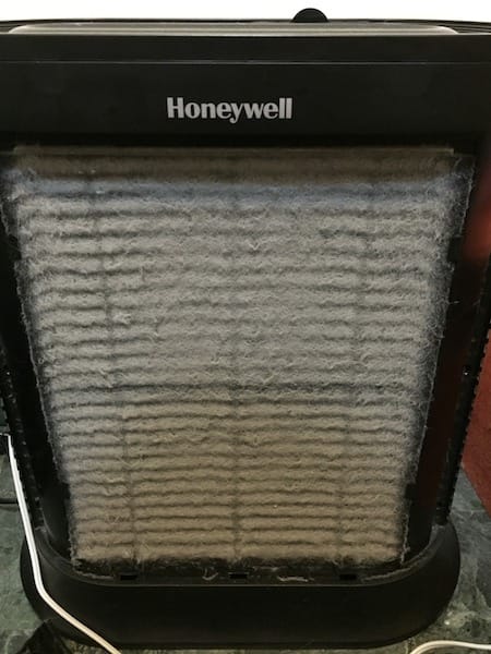 IMG_3667.jpg IMG_3667.jpg