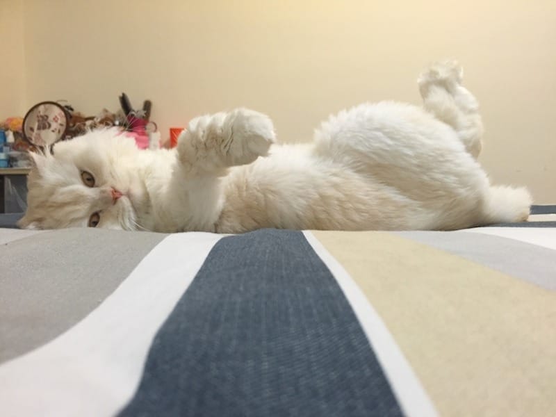 IMG_6584.jpg IMG_6584.jpg