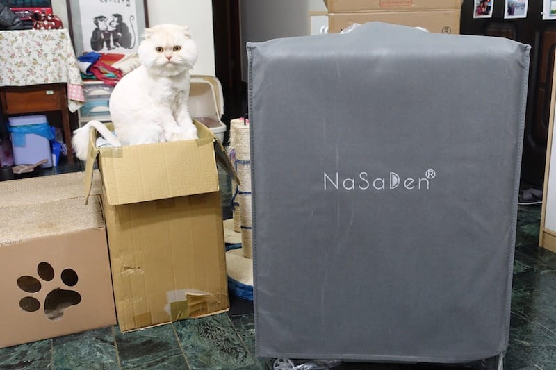 DSC03385.jpg DSC03385.jpg