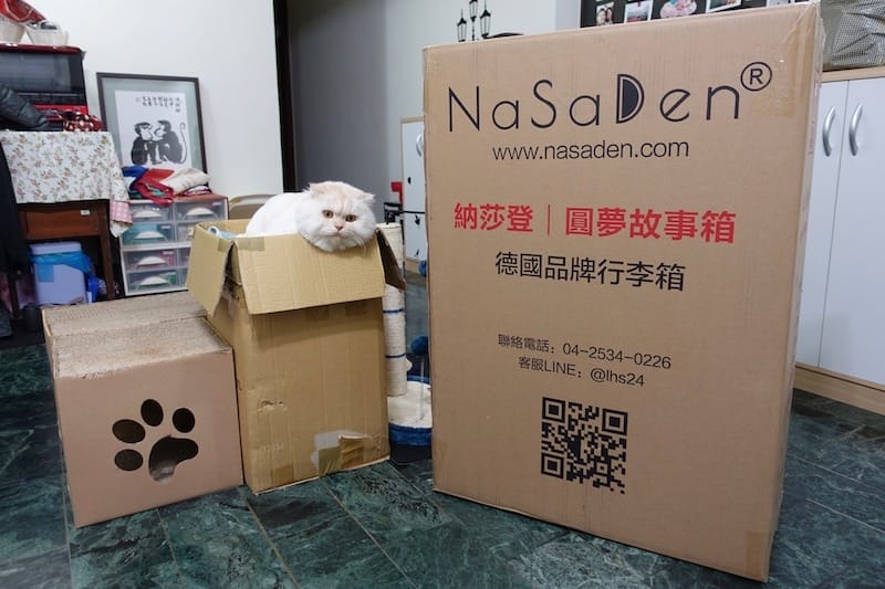 DSC03374.jpg DSC03374.jpg