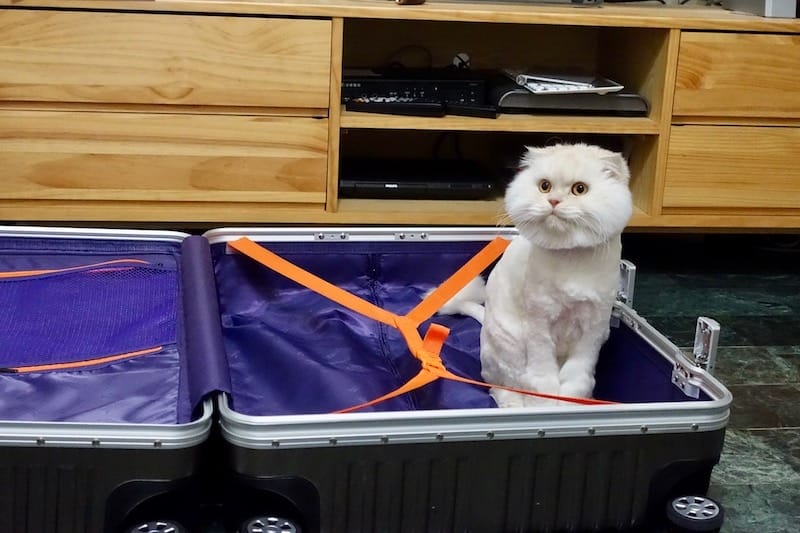 DSC03529.jpg DSC03529.jpg