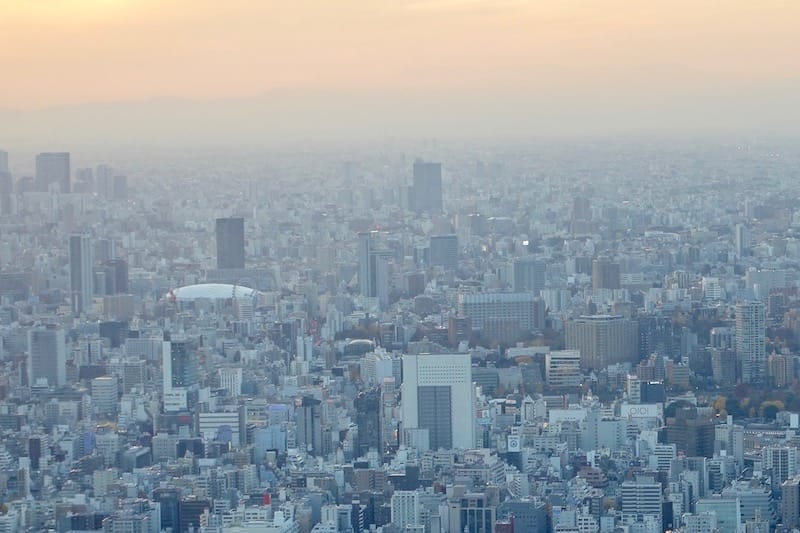 DSC00875.jpg DSC00875.jpg