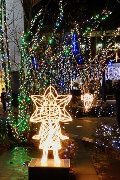 DSC01033.jpg DSC01033.jpg