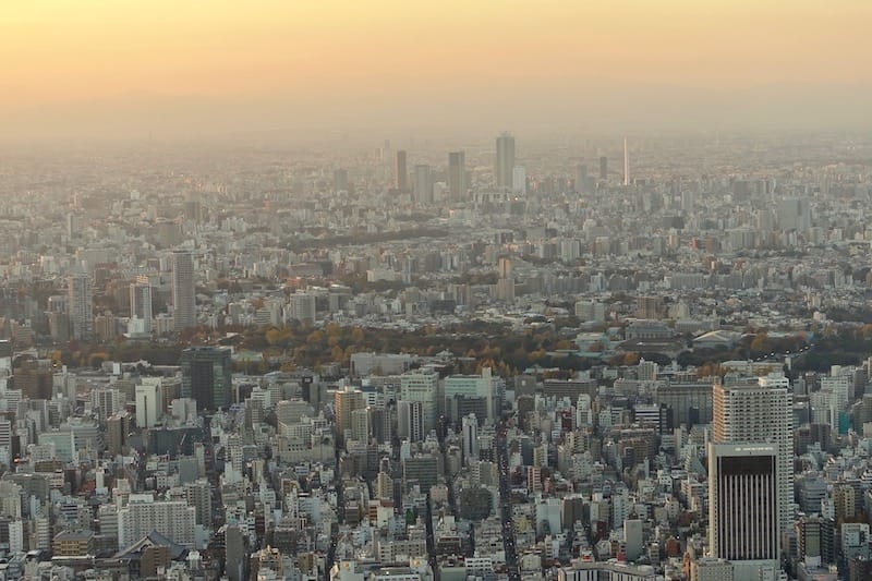 DSC00855.jpg DSC00855.jpg