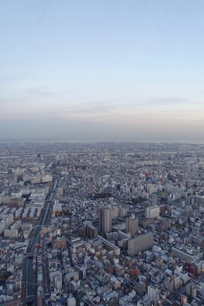 DSC00916.jpg DSC00916.jpg