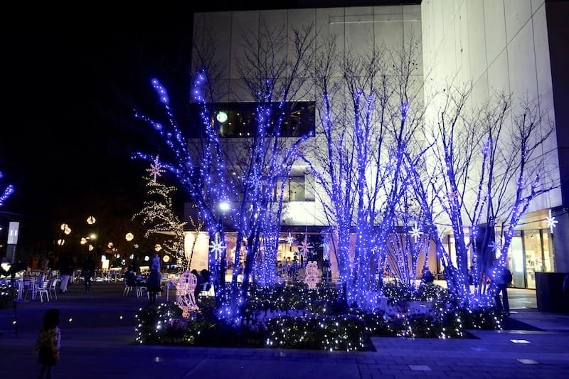 DSC01029.jpg DSC01029.jpg