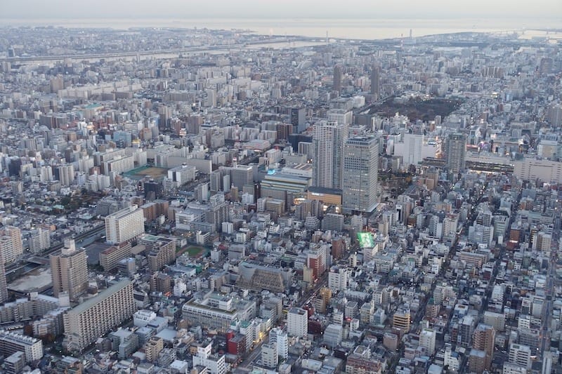 DSC00915.jpg DSC00915.jpg