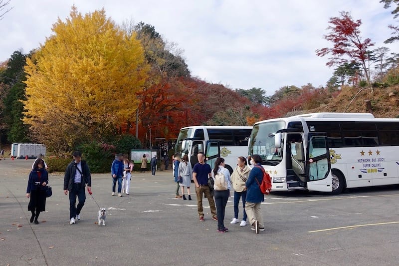 DSC01798.jpg DSC01798.jpg