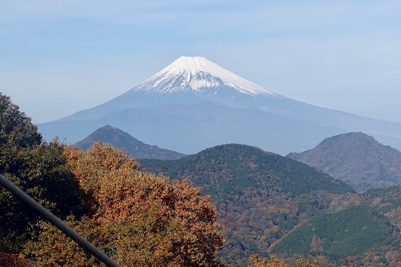 DSC01741.jpg DSC01741.jpg