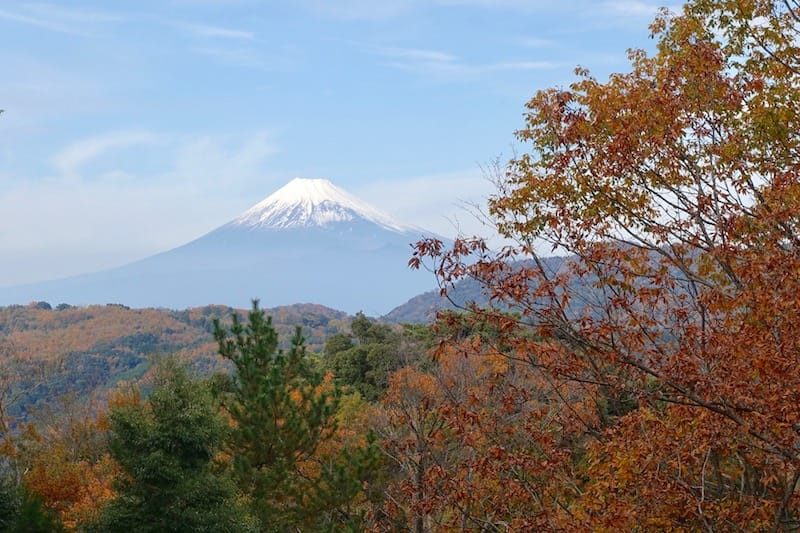 DSC01841.jpg DSC01841.jpg