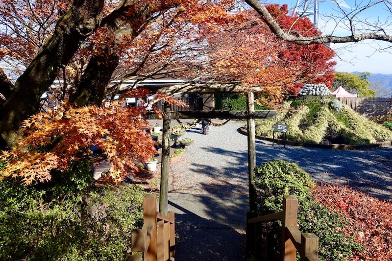 DSC01698.jpg DSC01698.jpg