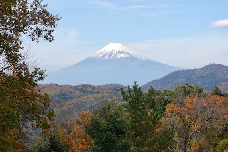 DSC01837.jpg DSC01837.jpg