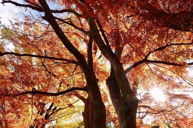 DSC01873.jpg DSC01873.jpg