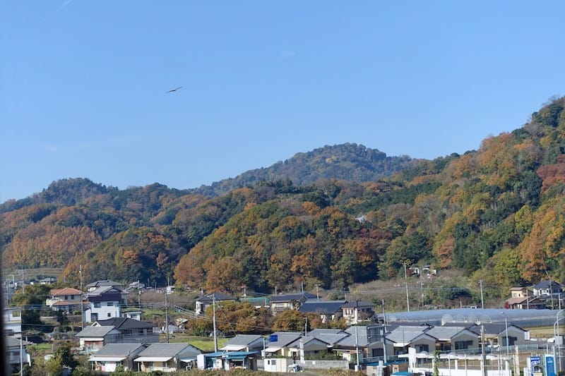 DSC01588.jpg DSC01588.jpg