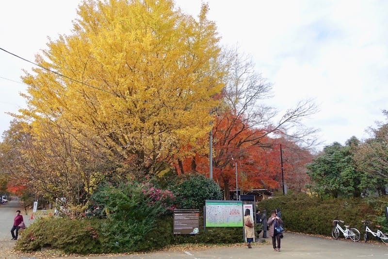 DSC01800.jpg DSC01800.jpg