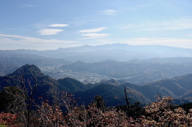 DSC01667.jpg DSC01667.jpg